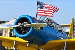 SNF21-PLANEFLAG-041421low-res